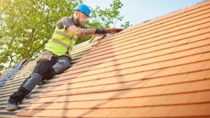 Best Roof Moss and Algae Removal  in Walnut Creek, OH